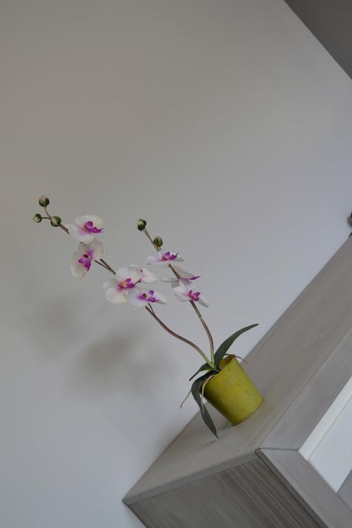 Auberge Provencale Sospel Zimmer foto